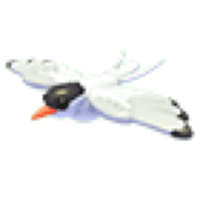 Arctic Tern  - Uncommon from Summer Festival 2023